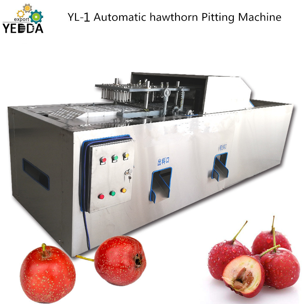 Automatic Fruit Destone Pitting Machine Capacity: 500-1000 Kg/hr