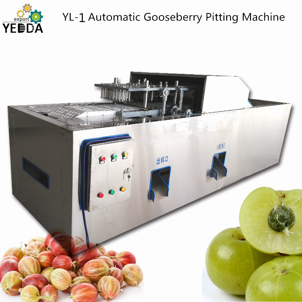 Automatic Fruit Destone Pitting Machine Capacity: 500-1000 Kg/hr