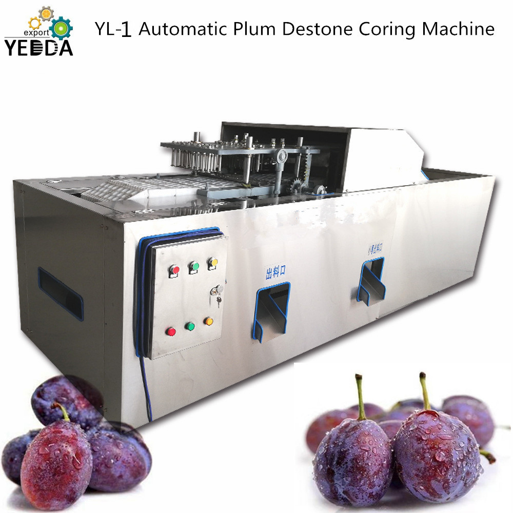 Automatic Fruit Destone Pitting Machine Capacity: 500-1000 Kg/hr