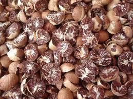 Brown Natural Whole Dried Betel Nut