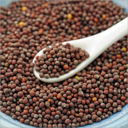 Mustard Seeds - Common Grade Oil Seeds | High-Quality Agricultural Cultivation