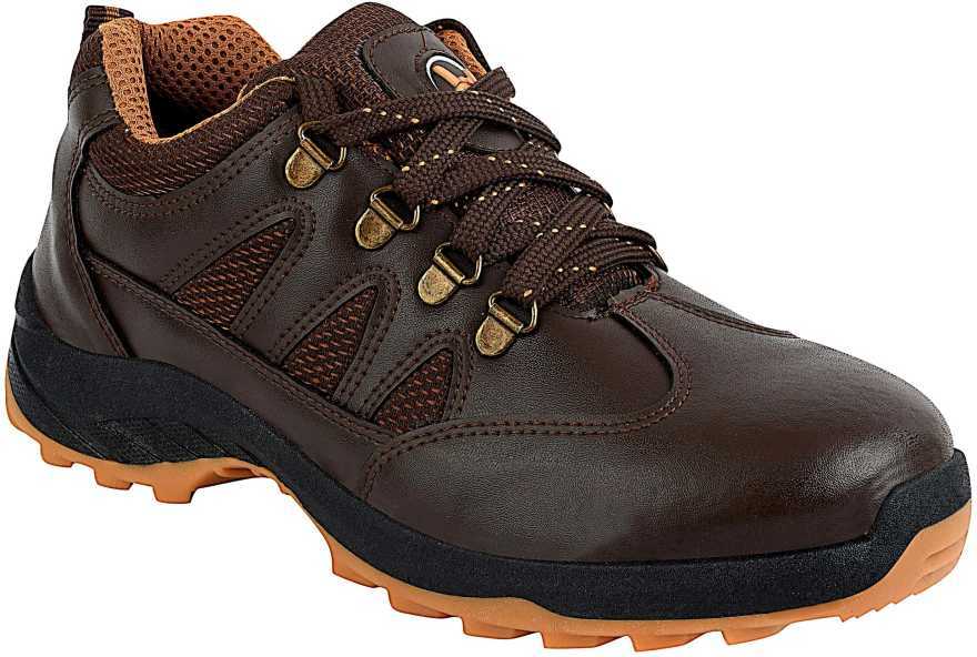 Brown Swag 1904