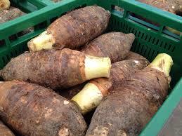 Fragrant Taro Product From Thailand Shelf Life: 6 Months