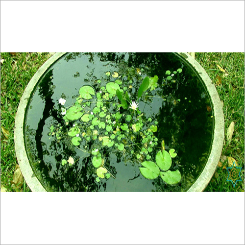 Granite Outdoor Basin - Granite, 150l, 100cm Diameter, 50cm Height | Durable, Weatherproof, Polished Finish, Eco-friendly, Low Maintenance