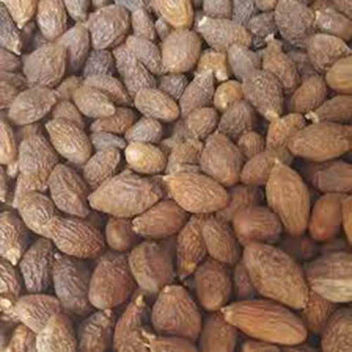 ड्राइड रिजर्व बॉल होलसेल