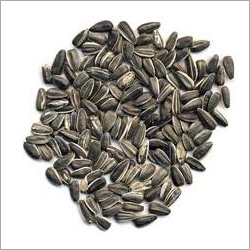 Sunflower Seeds