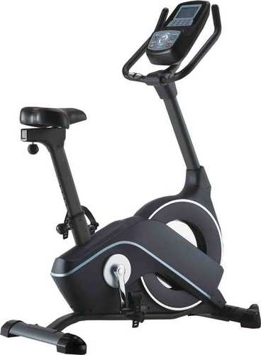 Gamma Upright Bike