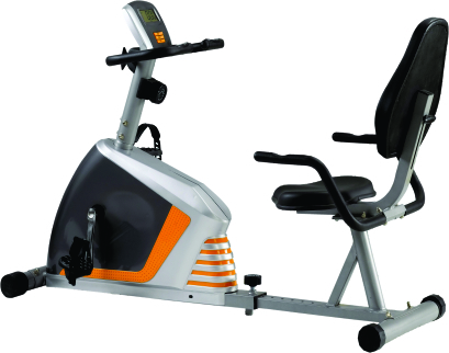 Ease Recumbent Bike