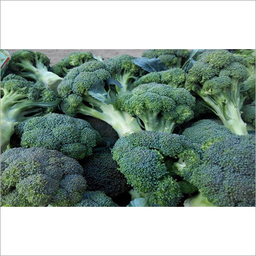 Broccoli