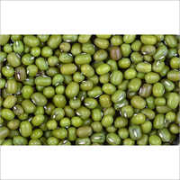 Green Gram Beans