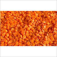 Red Lentils