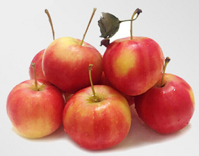 Yl-8 Small Apple Coring Slicing Machine Capacity: 1000 Kg/hr