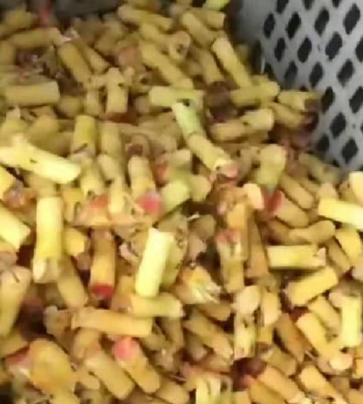 Yl-8 Small Apple Coring Slicing Machine Capacity: 1000 Kg/hr