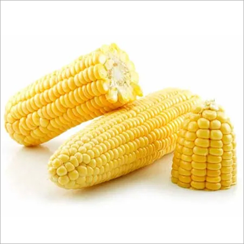 Fresh Corn