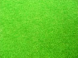 Artificial Grass