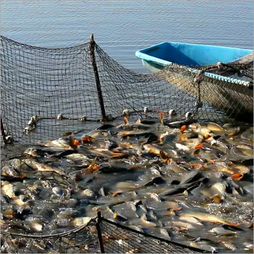 Plastic Blue Nylon Fishing Net