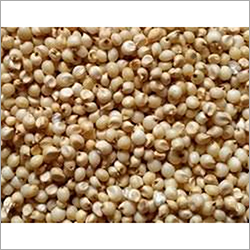 Sorghum Seeds - Small Round Brown | Lightweight, High Germination Rate, High Purity, Low Moisture Content, Gluten-Free Baking and Cooking