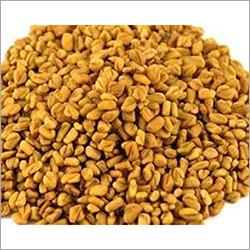 Fenugreek Seeds