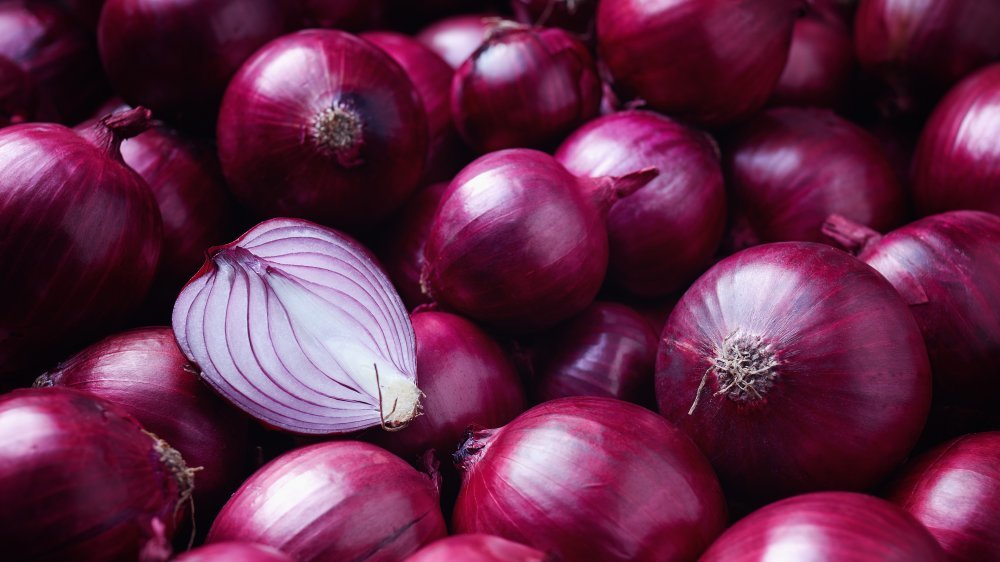 Fresh Onions - Medium Round Red Onions | Firm Texture, Bulk Packaging, Export Quality