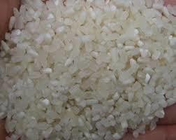 100 Percent Broken Rice