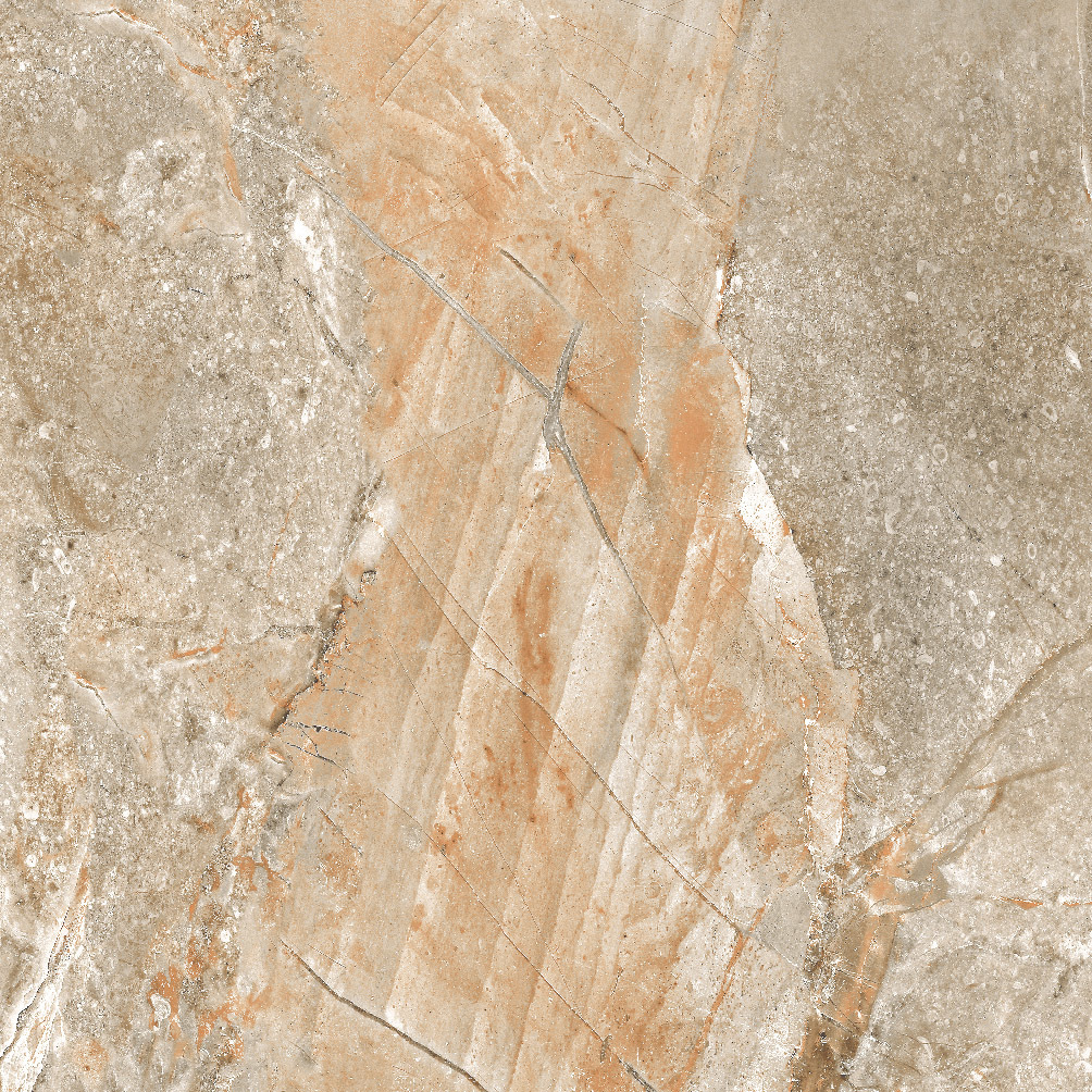 Mixed Porcelain Floor Tiles