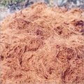 घुंघराले नारियल की फाइबर