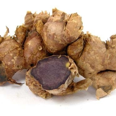 Black Ginger Powder Dry Place