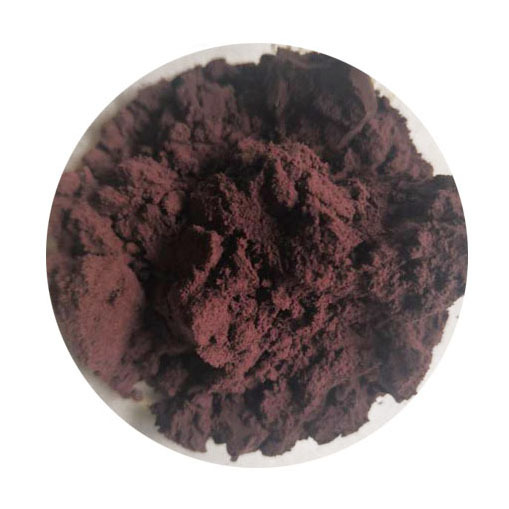 Black Ginger Powder Dry Place