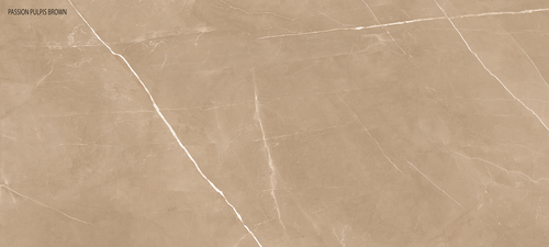 पॉलिश आउटडोर तल टाइलें