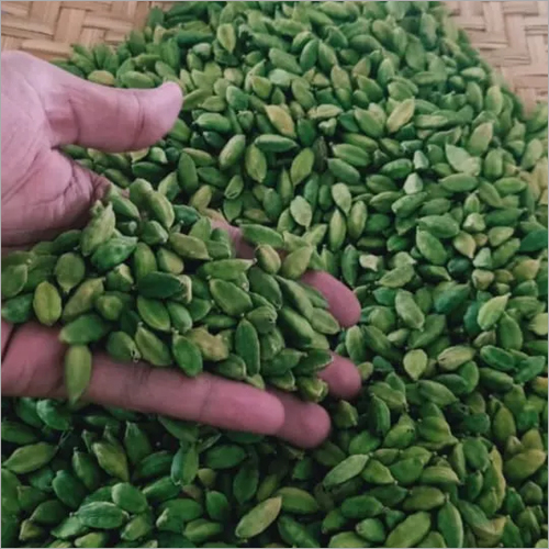 फ्रेश ग्रीन इलायची