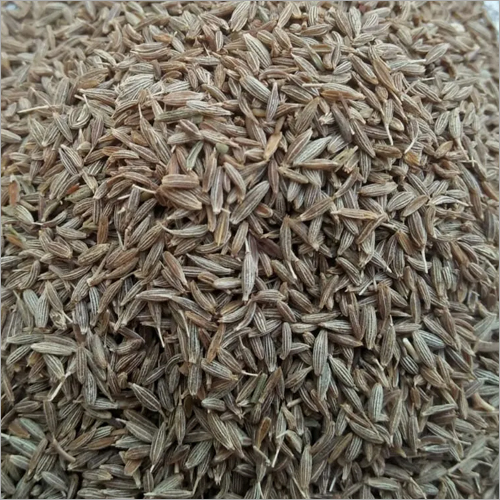 शाह जीरा सीड्स