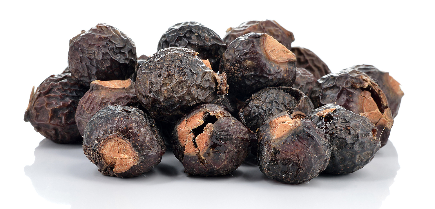 Black Dried Sapindus Rarak