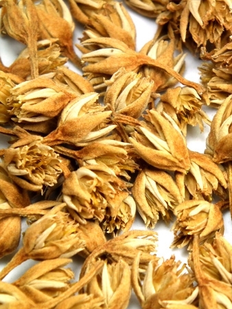 Natural Dried Mimusops Elengi