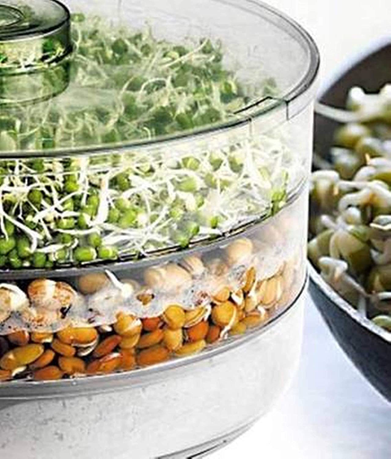 Sprout Maker - Abs Plastic, 10 Cm Size, White Color | Hygienic Design With Siphon System For Easy Sprouting And Cleaning Features