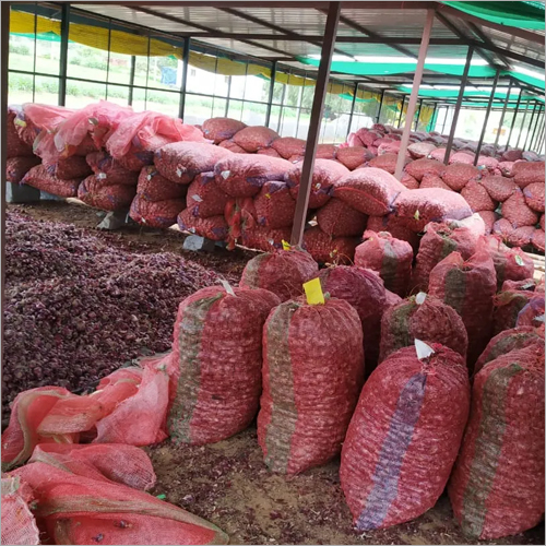 Natural Bangalore Rose Onion