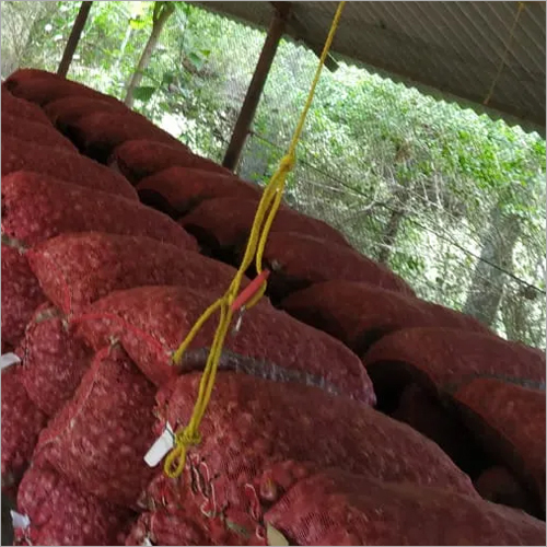 Natural Bangalore Rose Onion
