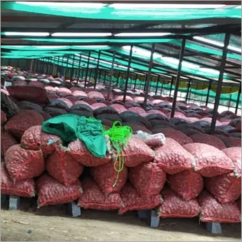Natural Bangalore Rose Onion