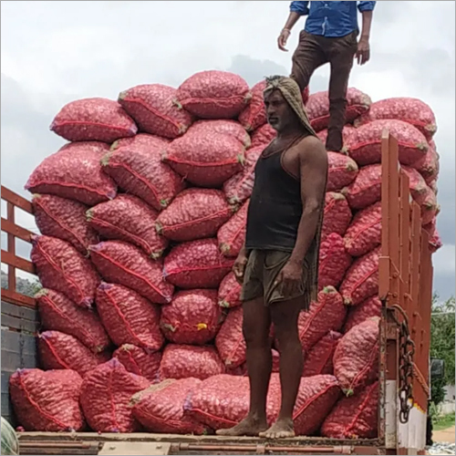 Natural Bangalore Rose Onion