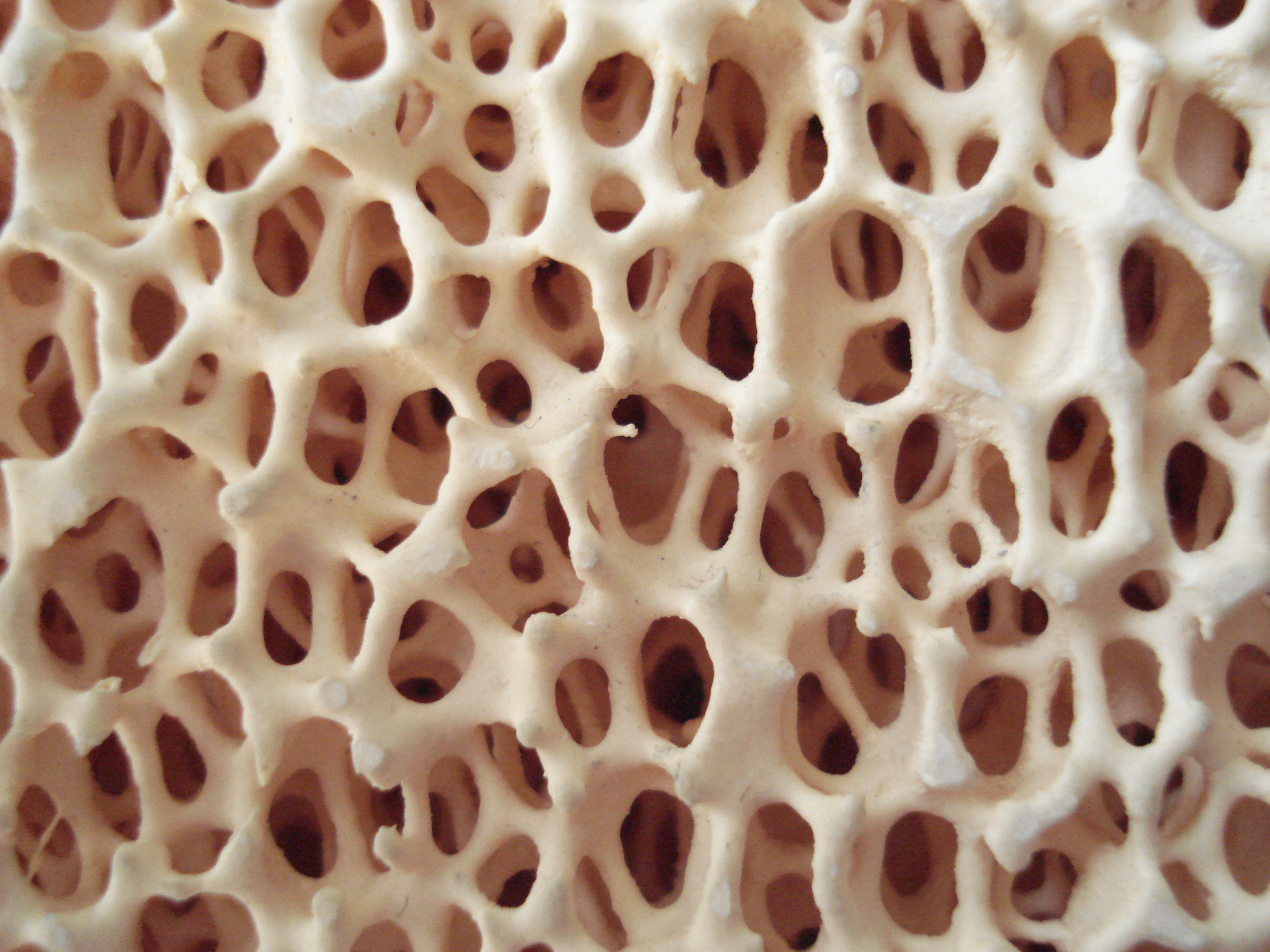 Zirconia Ceramic Foam Filter - 40-500 Mm Diameter, Yellow Color | Industrial Depth Filter Cartridge, 80-90% Efficiency, 2-45 Kg/s Filter Rating, Pore Size 10-30 Ppi, Three-year Warranty