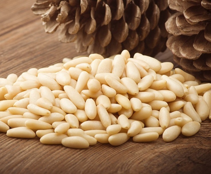 Normal Large Grain Pine Nuts / Pine Nuts Thailand