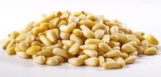 Normal Large Grain Pine Nuts / Pine Nuts Thailand