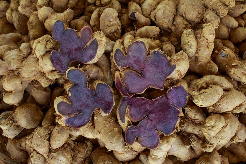 Dried Black Ginger