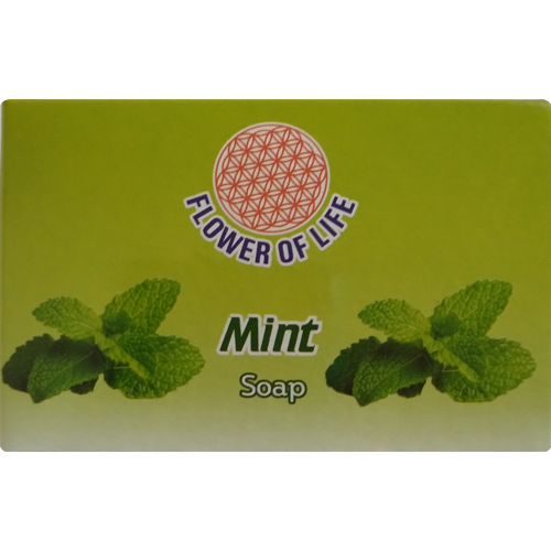 Mint Soap Size: 75 Grams