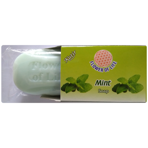 Mint Soap Size: 75 Grams
