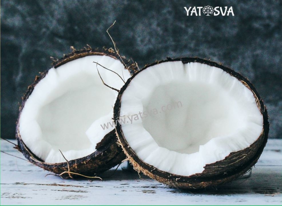 Semi Husked Coconut - 550 Gram Whole, Brown A-grade Fresh Variety | Rich In Fat, Protein, B Vitamins, And Minerals