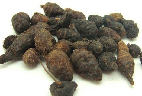 Dried Natural Nut Grass Product Of Thailand