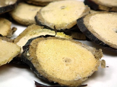 Dried Cryptolepis Roemus Buchanole & Schultenel