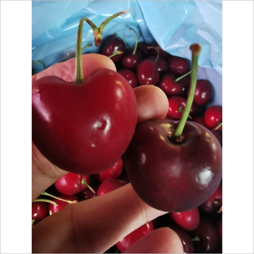 Fresh Red Cherries