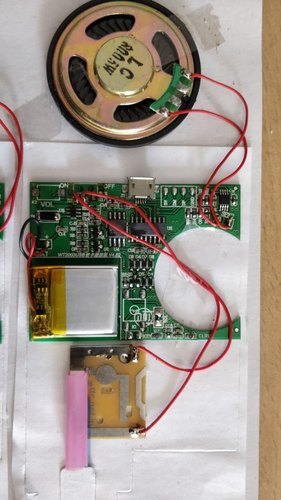Election Convessing For Votes Card Musical Voice Modules
