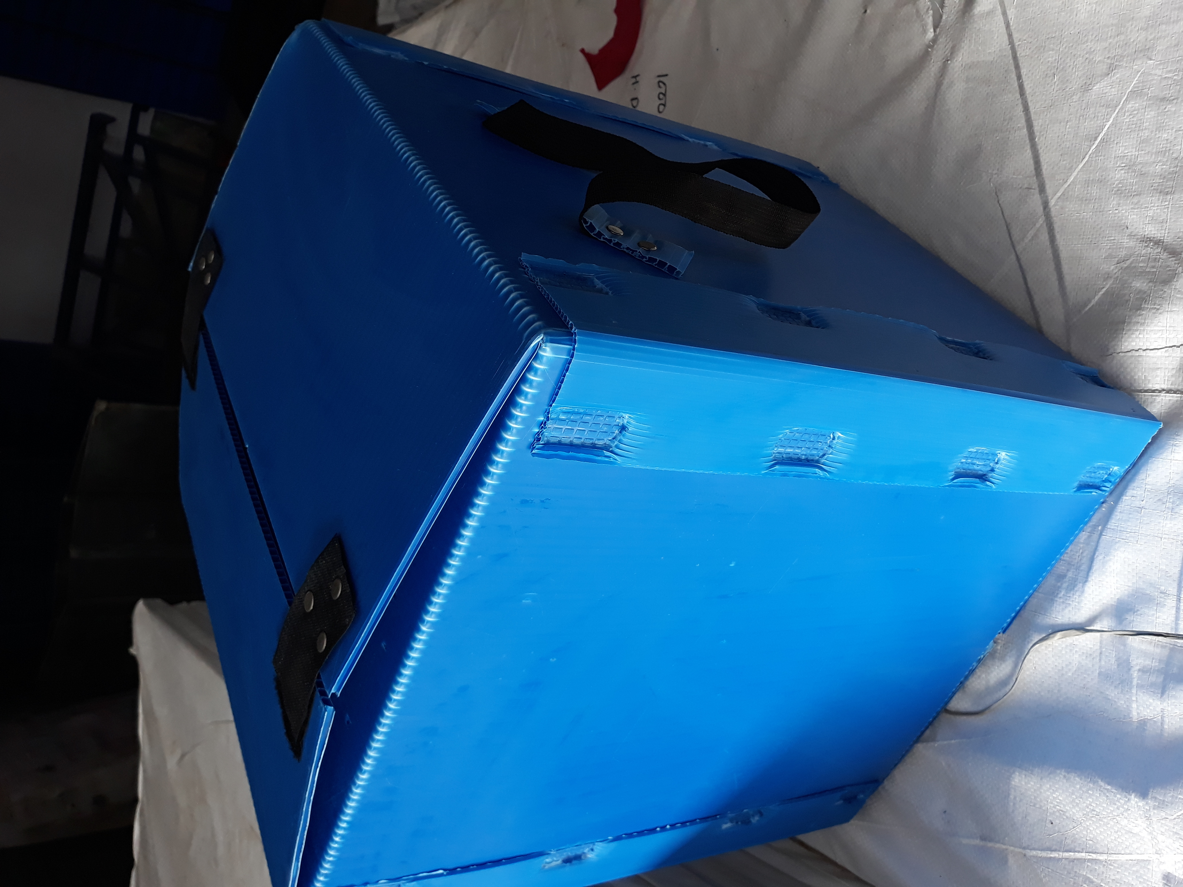 Multi Color Pp Corrugated Box